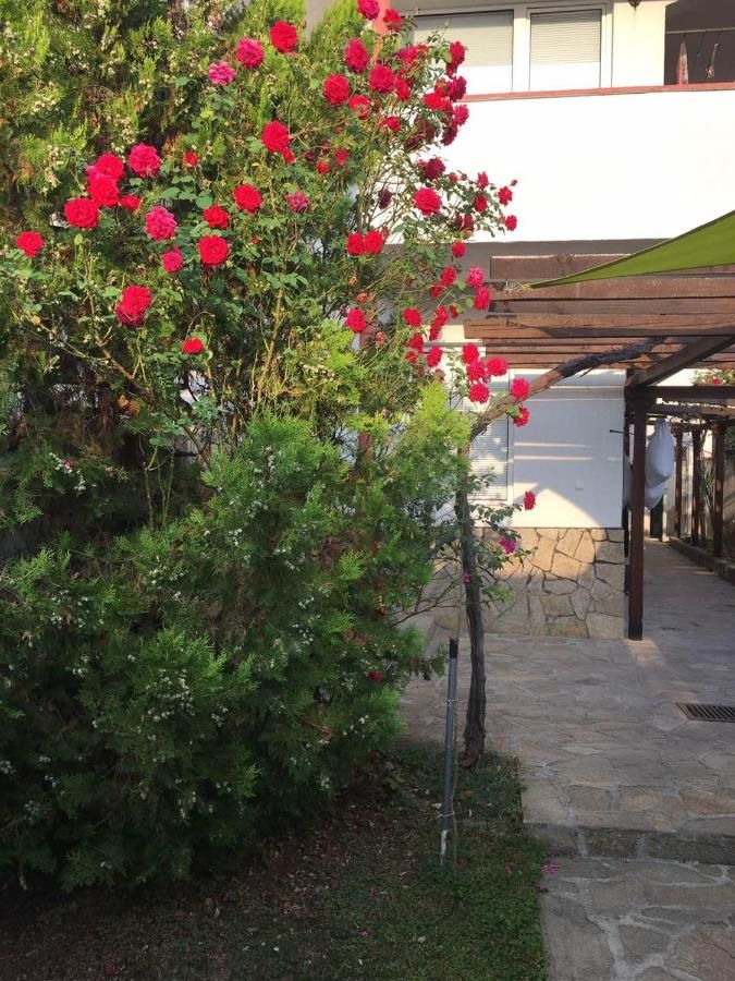 Гостевой дом Guest House Dobrev Кырджали